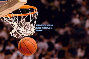 全球首届机器人竞技大赛落幕 中国团队斩获全能冠军