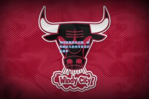 冰球联赛激战正酣，新秀崛起与老将传奇交织的赛季