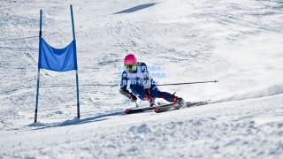 早报，抓狂的阿莫林—战术大师的怒吼与里斯本竞技的十字路口