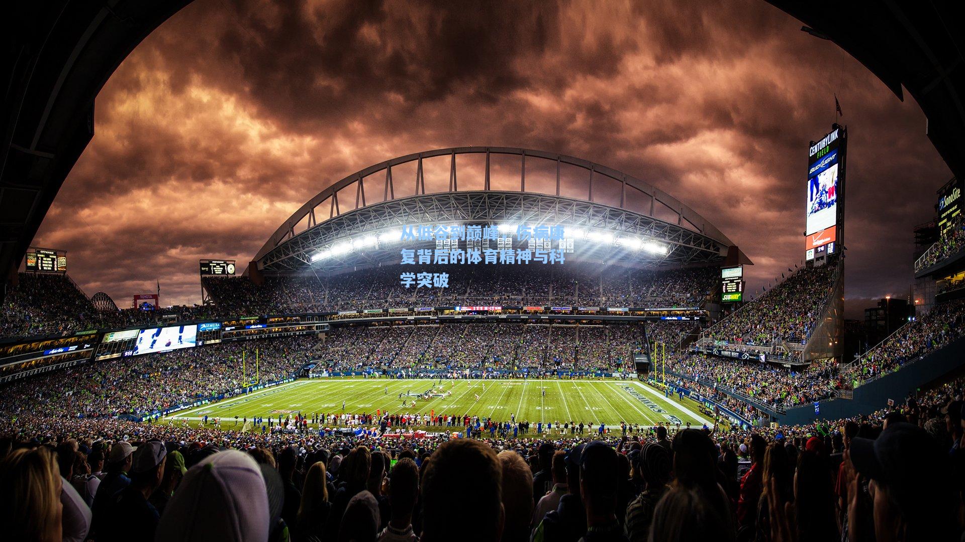 从低谷到巅峰，伤病康复背后的体育精神与科学突破