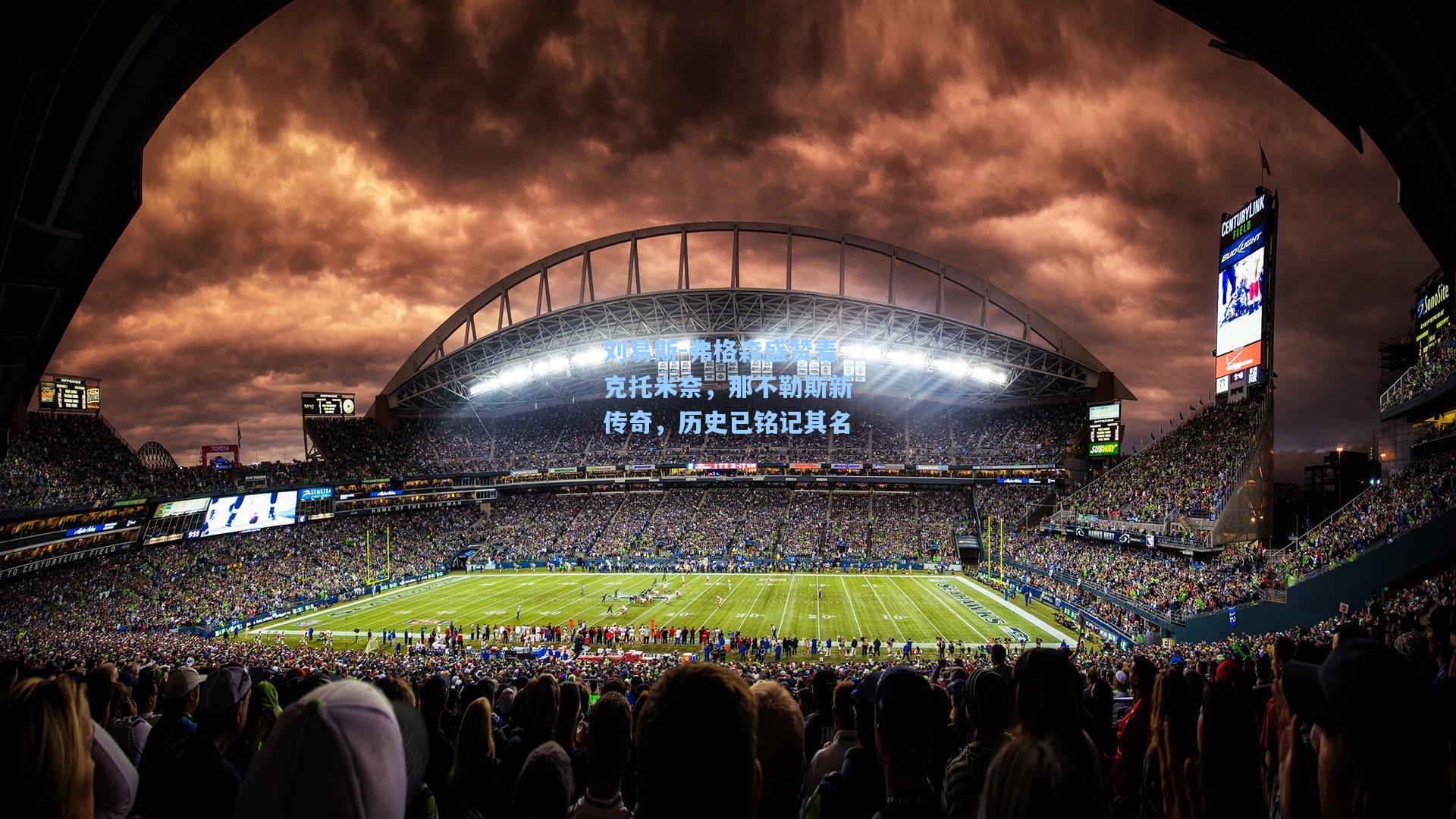 刘易斯-弗格森盛赞麦克托米奈,那不勒斯新传奇,历史已铭记其名